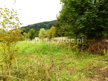 Działka budowlana Łomnica