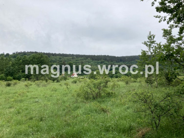 Działka rolna Łomnica
