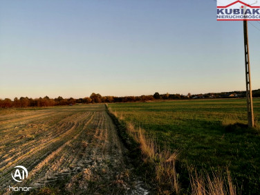 Działka budowlano-rolna Paprotnia