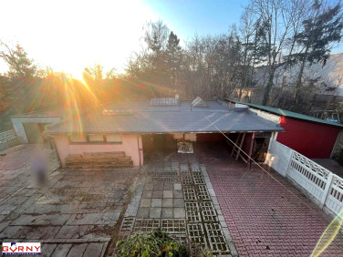 Lokal Piotrków Trybunalski