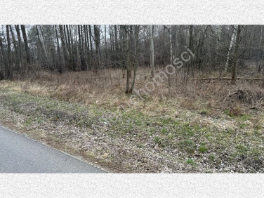 Działka Budy-Grzybek