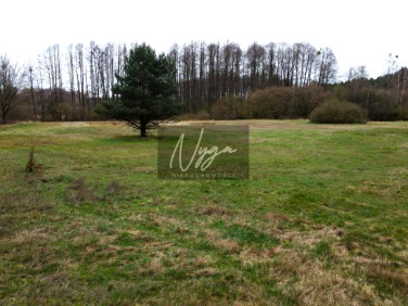 Działka rolna Przychodzko