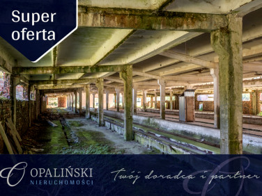 Budynek użytkowy Krościenko