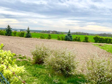 Ogrodzona działka Szewce