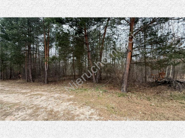 Działka budowlana Budy-Grzybek sprzedam