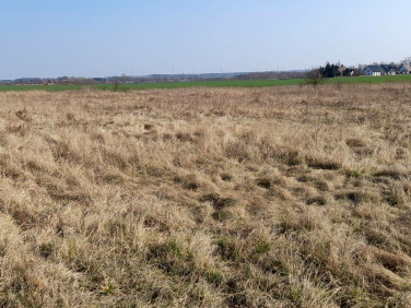 Działka budowlana Mazurowice