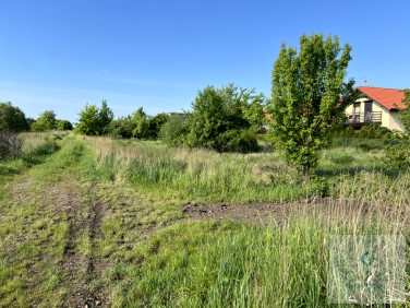 Działka inwestycyjna Wołczkowo