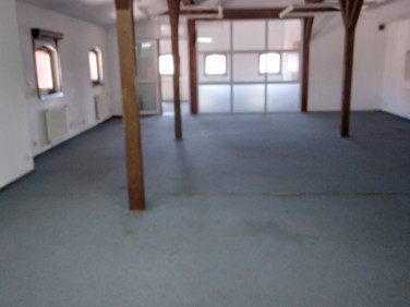 Lokal Toruń wynajem