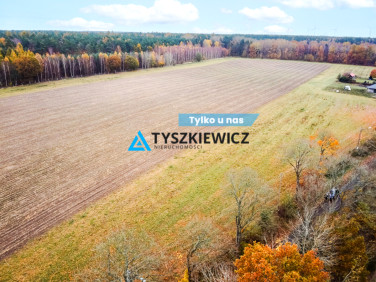 Działka Szczenurze