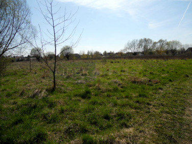 Działka Kazuń Nowy