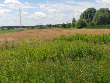 Działka przemysłowa Lesznowola