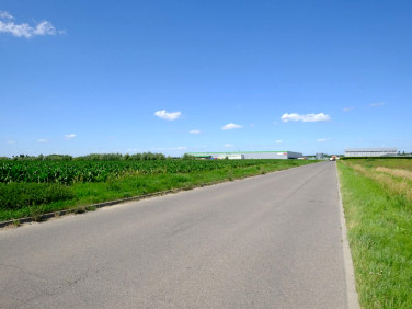 Działka inwestycyjna Teresin