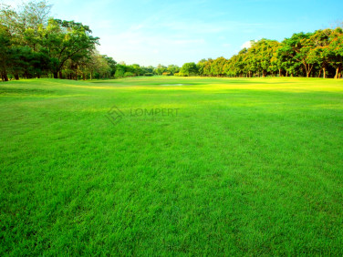 Działka budowlana Konstancin-Jeziorna