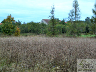 Działka rolna Samolubie