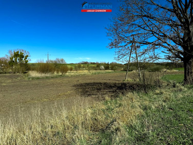 Działka siedliskowa Łomnica sprzedam