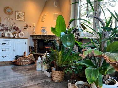 Dom Gorzów Wielkopolski sprzedaż