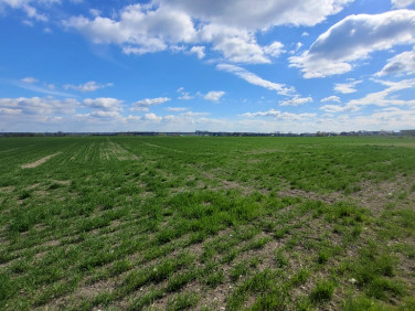 Działka budowlana Opole