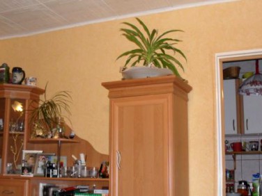 Mieszkanie Polkowice