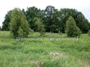 Działka budowlana Ciechów