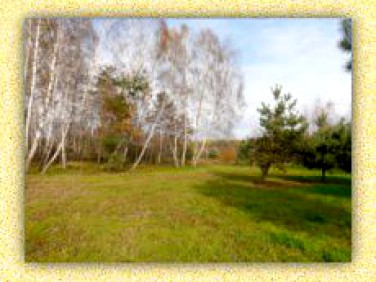 Działka budowlana Łoś