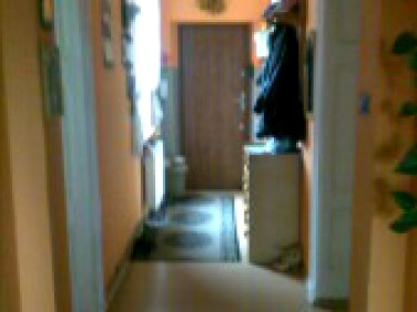 Mieszkanie Szprotawa