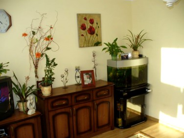 Mieszkanie Stary Targ