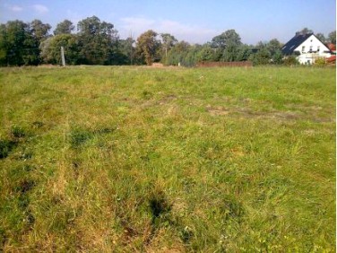 Działka Środa Śląska