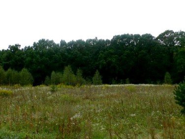 Mieszkanie Sulejówek