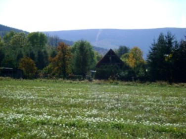 Działka Świeradów-Zdrój