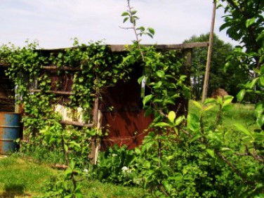 Działka Solec Kujawski