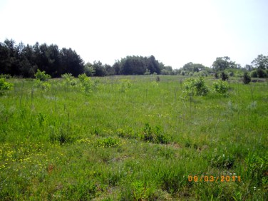 Działka budowlana Ostrowiec Świętokrzyski