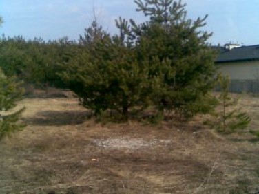 Działka budowlana Ostrowiec Świętokrzyski