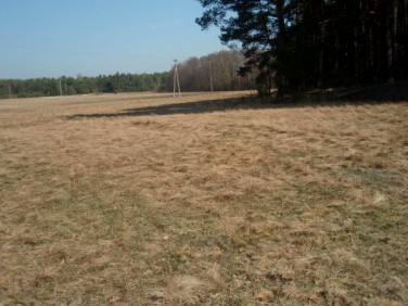 Działka rekreacyjna Drozdowo