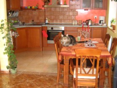 Mieszkanie Jelenia Góra