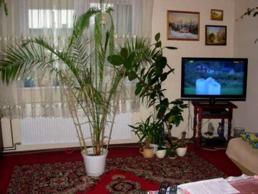 Mieszkanie Solec Kujawski