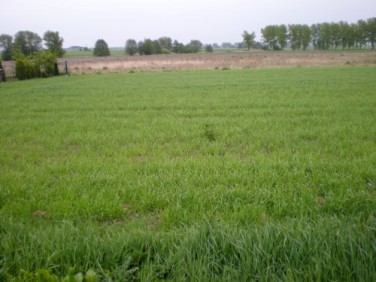 Działka Pobiedziska