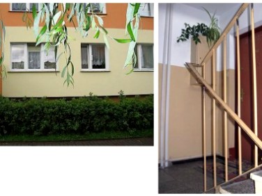 Mieszkanie Strzelce Krajeńskie