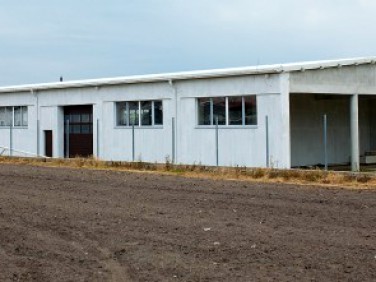 Budynek użytkowy Piotrków Trybunalski