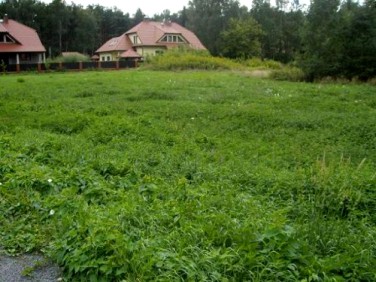 Działka Sękocin Stary