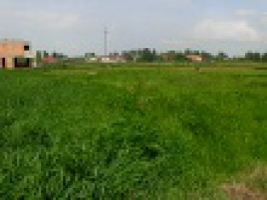 Działka Falenty Duże