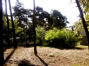 Działka rekreacyjna Tuszyn