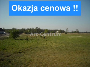 Pusta działka Brzoza