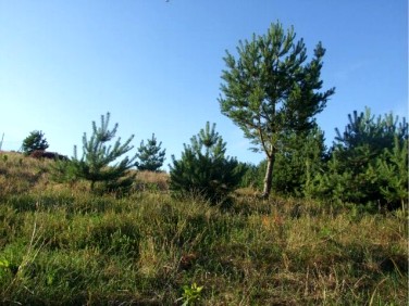 Działka budowlana Koleczkowo