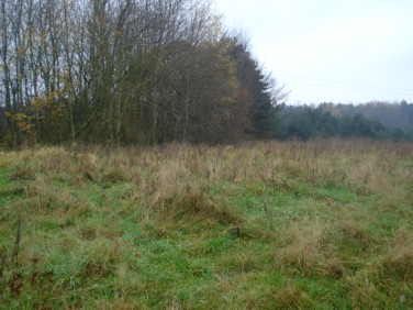 Działka rolna Pilchowo