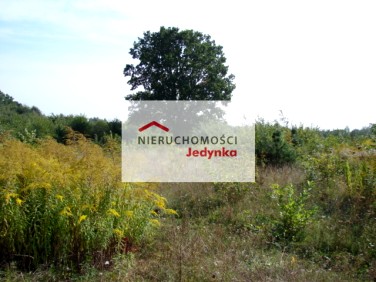 Działka budowlana Sulejówek