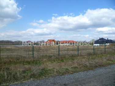 Działka budowlana Szewce