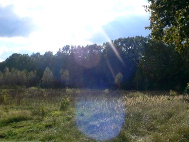 Działka budowlana Sulejówek