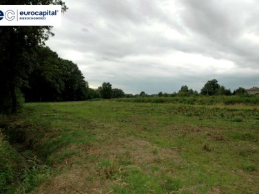 Działka budowlana Hecznarowice