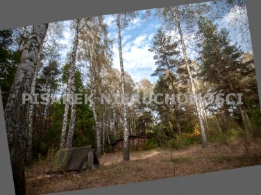 Działka leśna Prażmów