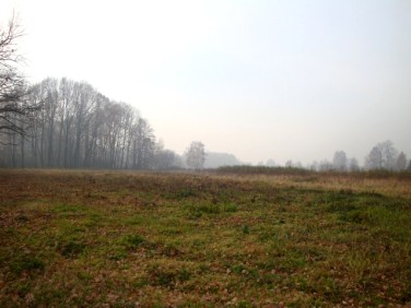 Działka Hecznarowice